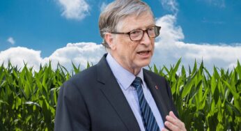 Bill Gates possède aujourd’hui plus de terres agricoles que quiconque en Amérique