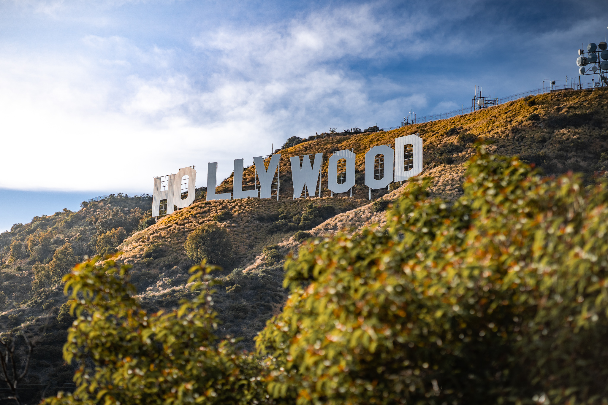 Le wokisme est-il en train de tuer Hollywood ?