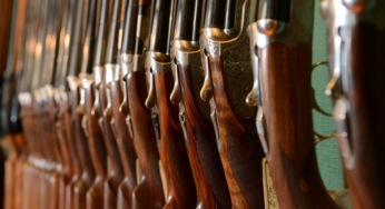 Les libéraux retirent les amendements controversés à la loi sur les armes à feu