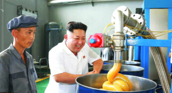 Selon le renseignement sud-coréen, Kim Jong-Un pèserait plus de 300 lbs et serait alcoolique