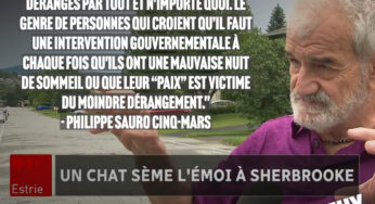 De l’argent des contribuables pour enquêter sur un chat « problématique »?