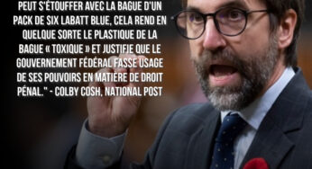 Les libéraux sont incapables de prouver la « toxicité » des pailles et sacs en plastique, selon la Cour Fédérale
