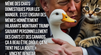 Catgate: la vérité a bien meilleur goût.