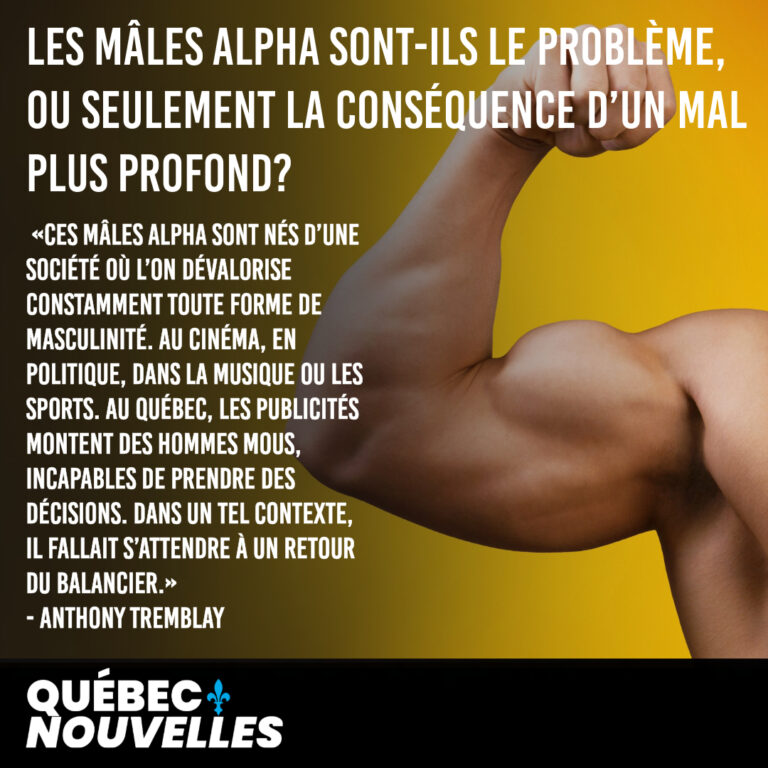 Les mâles alpha sont-ils le problème, ou seulement la conséquence d’un mal plus profond?