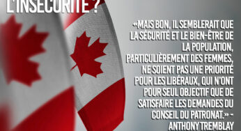 La politique d’immigration de Mark Carney augmentera-t-elle l’insécurité ?