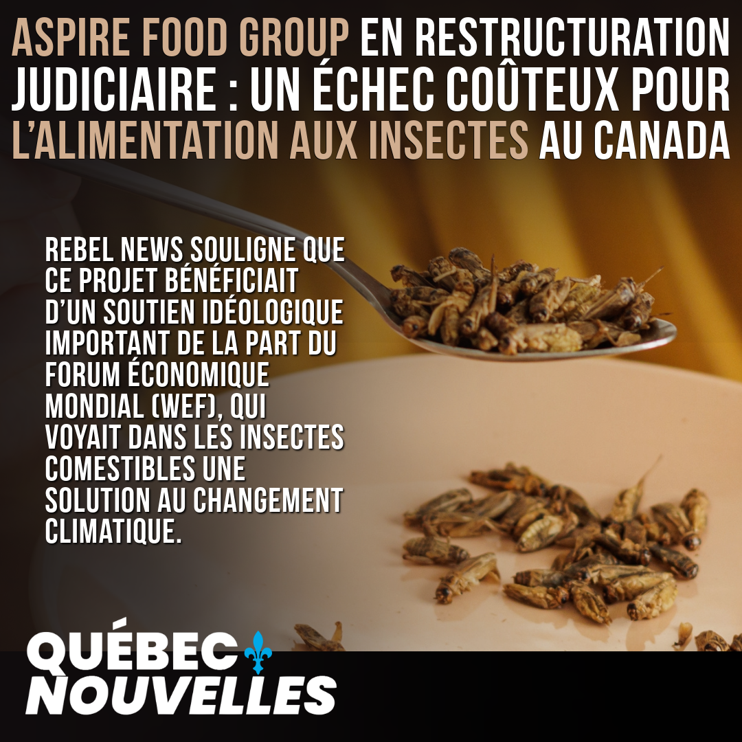 Aspire Food Group en restructuration judiciaire : un échec coûteux pour l’alimentation aux insectes au Canada